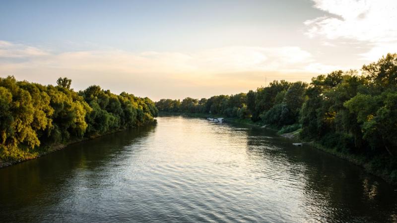 Mi lehet ez? A Tisza vizében egy különös élőlényre bukkantak, amely felkeltette a kutatók figyelmét. Ráadásul fotókat is készítettek róla, hogy megörökítsék ezt a lenyűgöző felfedezést.