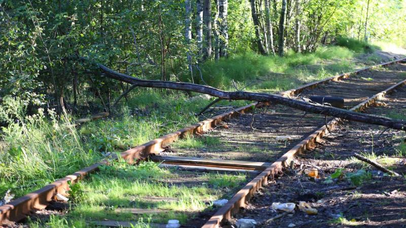 A vihar által okozott károk miatt több vonalon késések várhatóak.