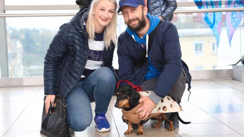 Woof! Kutyás kalandok a Korzó szívében ezen a csodás vasárnapon (képekkel és videókkal)
