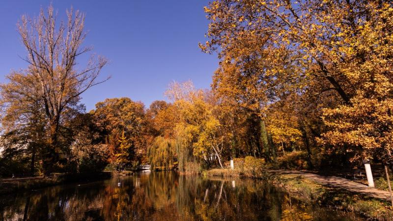 Fedezd fel az őszi varázslatot Tatabányán: lenyűgöző fotók három olyan helyszínről, ahol elmenekülhetsz a város zajától + GALÉRIA