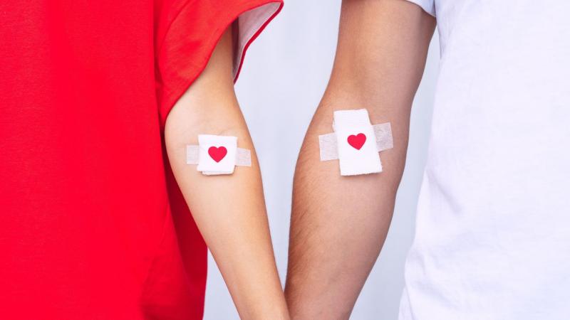 Hol tudsz vért adni Zala vármegyében? Fedezd fel velünk a lehetőségeket!