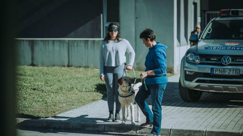 A BOON szervezésében különleges program zajlott, amelynek keretében vakvezető kutyák segítették a 112-es segélyhívó szolgálat munkatársait. Az esemény célja, hogy fokozza az érzékenyítést és a felkészültséget, lehetővé téve, hogy a segélyhívók jobban megé