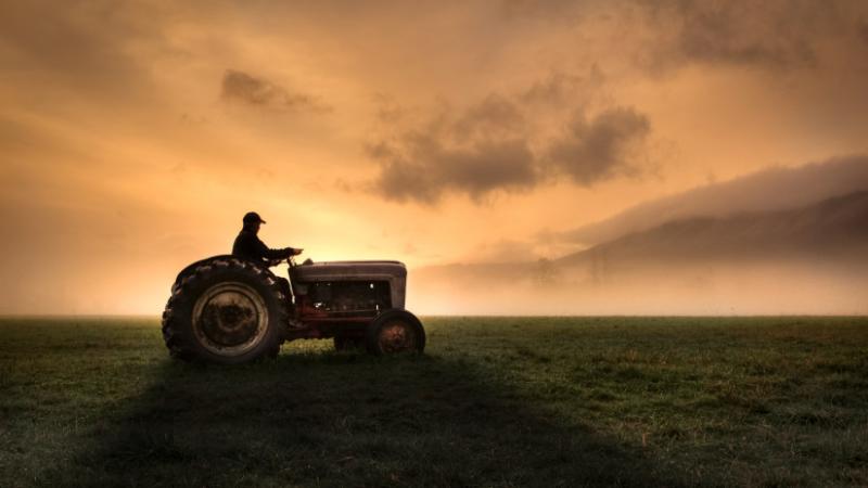 Ez nem fest túl rózsásan: ezen a téren lemaradásban vagyunk az európai mezőgazdaság versenyében - Agro Napló.