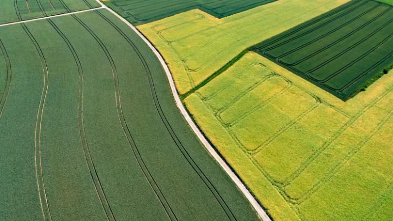 Súlyos pénzbírságot vonhat maga után ez Magyarországon: ez a szabályozás minden földhasználóra kihat. - Agro Napló