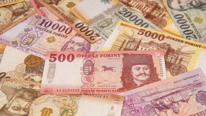 A pénzügyi források áramlásának megnyitásával milliárdos fejlesztések várnak a magyar vidékre - Agro Napló.