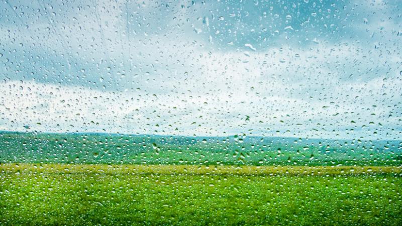 A júniusi hősokk emléke még mindig élénken él bennünk, és a mostani eső sem képes eltüntetni azt - Agrárszektor.