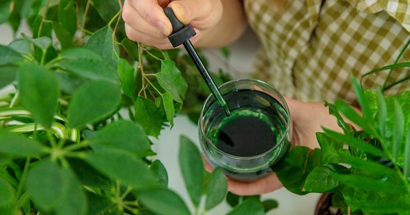 Minden növényben fellelhető ez a különleges antioxidáns.