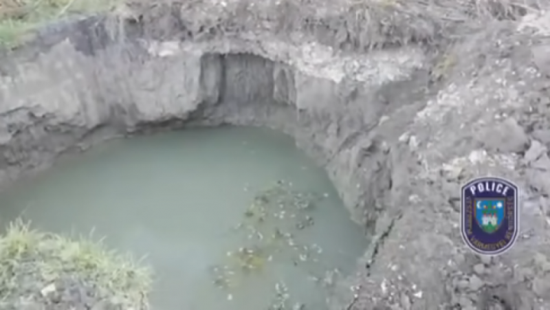 Tinédzser mentette meg hűséges kutyáját, de sajnos ő is a mély gödörbe zuhant - Házipatika