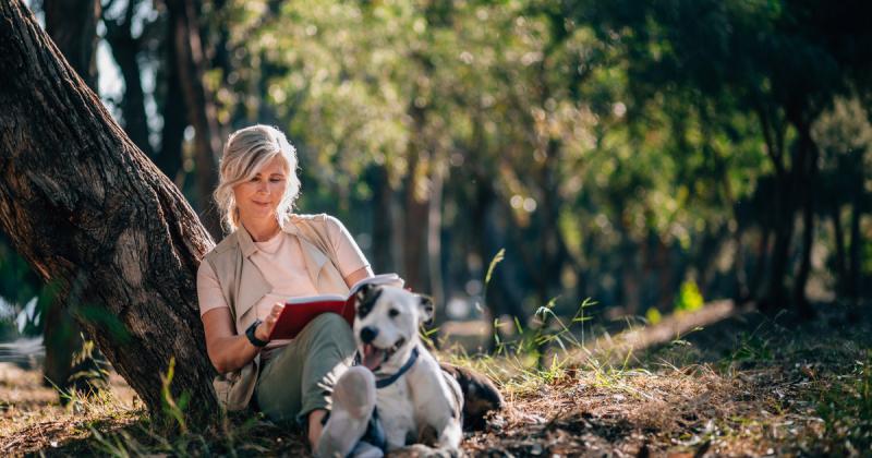Ez a fa különleges, de a gyümölcse mérgező lehet. Ősszel a kutyusok is könnyen rátalálnak, ezért fontos, hogy odafigyeljünk rájuk!